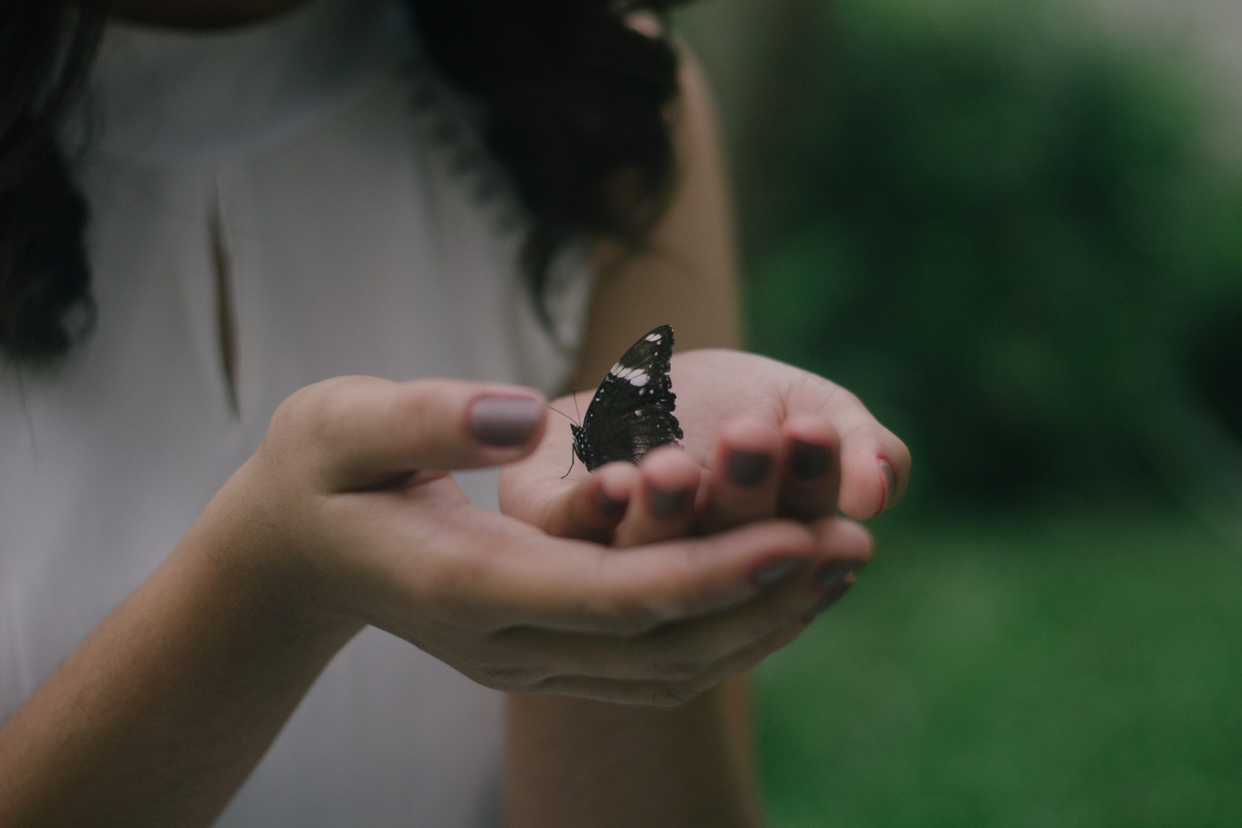 healing hands